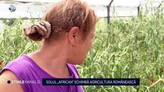 VIDEO Solul "african" schimbă agricultura rom&acirc;nească, aflată la un pas de colaps. Fermierii trebuie să ia măsuri urgente