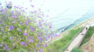 VIDEO Ce faci in weekend, cu Claudia Costandiș. Peisaje mediteraneene &icirc;n Rom&acirc;nia