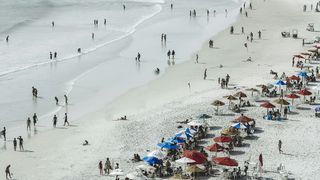 litoral, e.coli, dsp