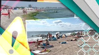 S-a dat alarma în mai multe stațiuni de pe litoral! Apa mării, infestată cu E.coli