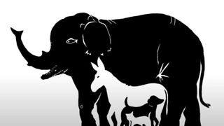 Câte animale vezi în imagine? Asta spune multe despre cât de inteligent ești