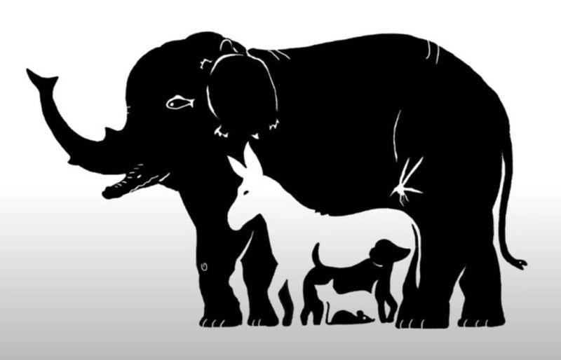 test iq, test atentie