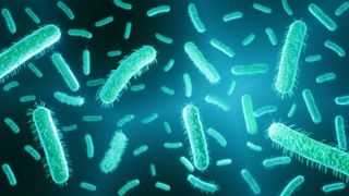 Cum ne protejăm de E.coli, bacteria prezentă &icirc;n stațiunile de la malul mării. Dr. Tudor Ciuhodaru: "Semnele se instalează repede"