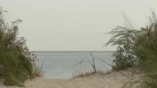 VIDEO De ce există bacterii în Marea Neagră. Explicația incredibilă oferită de biologi