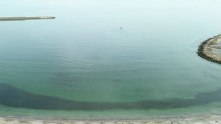 VIDEO Apa din Marea Neagră, la probe în laborator: la Mamaia nu e pericol de scăldat! În ce zone se vor repeta testele?