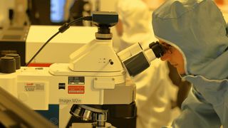 variola maimutei, alerta oms, virus 