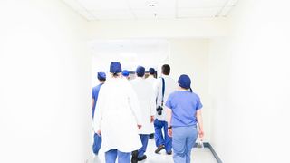 variola maimutei, alerta oms, virus 