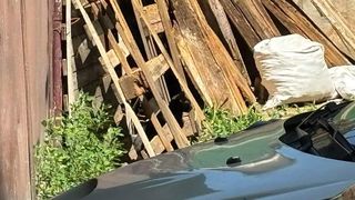 test iq, test atentie, test inteligenta 