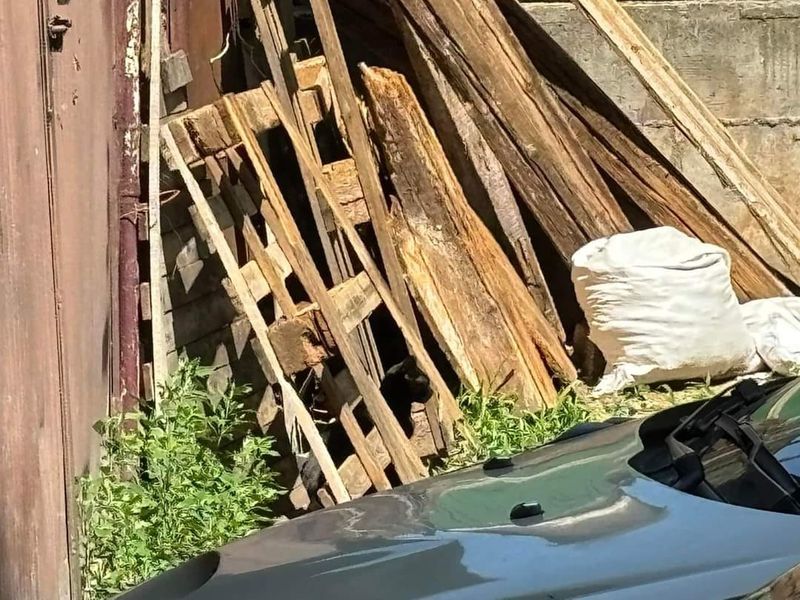 test iq, test atentie, test inteligenta 