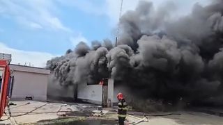 VIDEO Incendiu violent l&acirc;ngă plaja din Costinești! Turiștii au primit mesaje RO-Alert