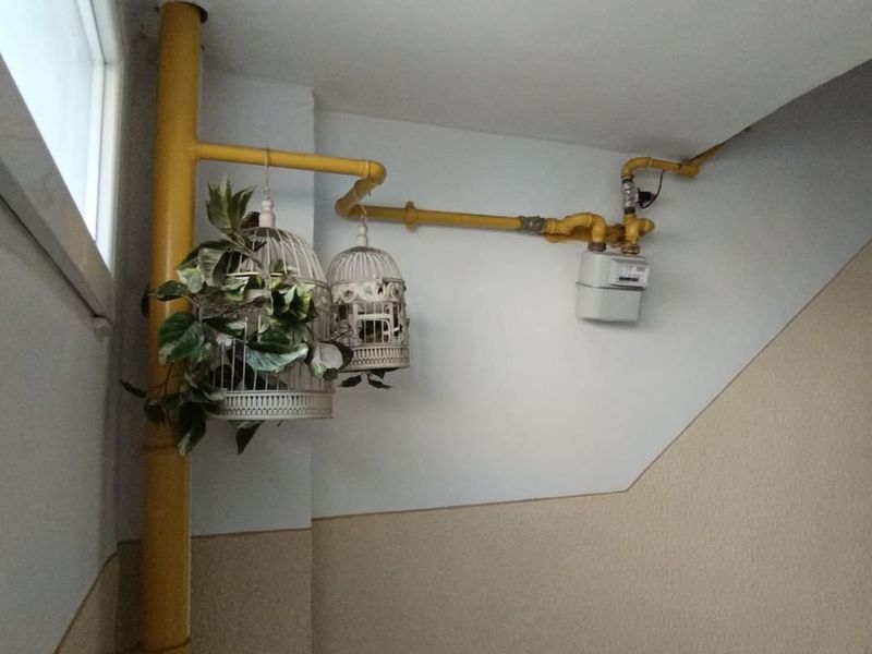 plante, flori, ghivece, amenda 