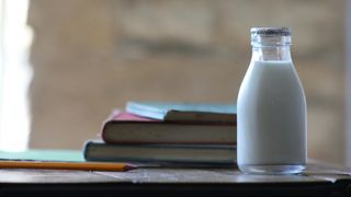 lapte, lactoza, david popovici 