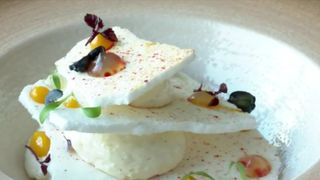 Pavlova reinterpretată