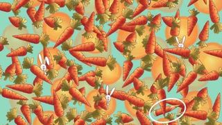 test, puzzle, test atentie 