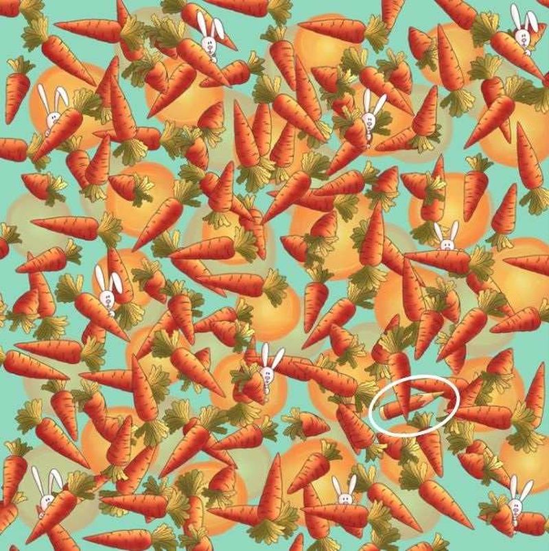 test, puzzle, test atentie 