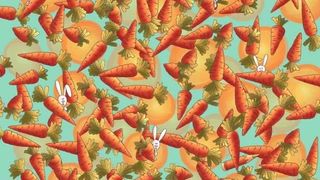 test, puzzle, test atentie 