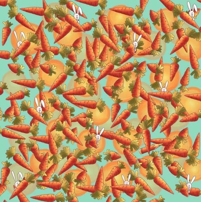 test, puzzle, test atentie 