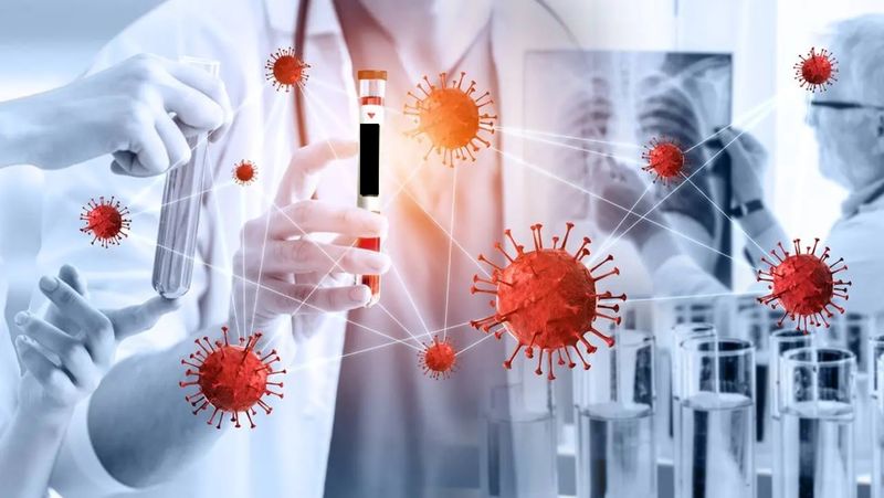 Virusul Oropouche, transmis la om de la leneș