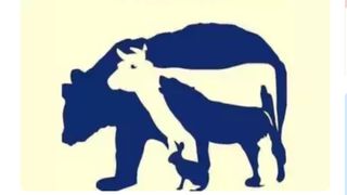 Testul care te pune în încurcătură. Tu câte animale vezi în imagine? Ce spune asta de fapt despre tine
