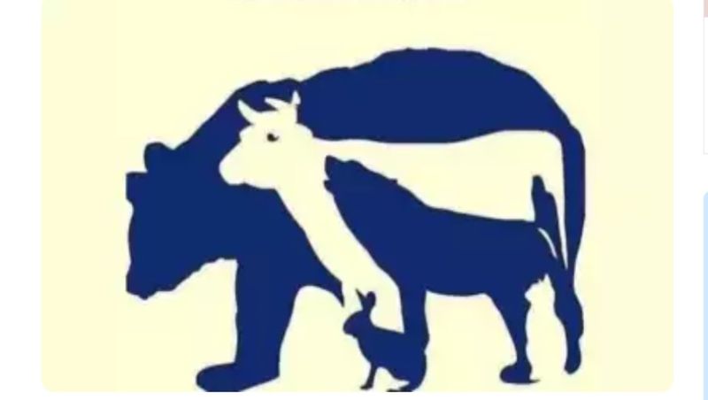 test animale imagine