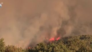 VIDEO Grecia se luptă cu focul! Incendiu masiv în apropiere de Atena