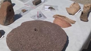 Sit arehologic sub o fermă de porci