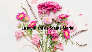 Mesaje de Sfânta Maria 2024. Gânduri și urări deosebite pentru prieteni, colegi și familie