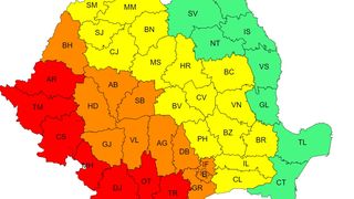 canicula, cod rosu, cof portocaliu, cod galben 