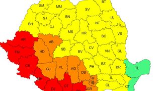 cod galben vijelii, cod rosu canicula 