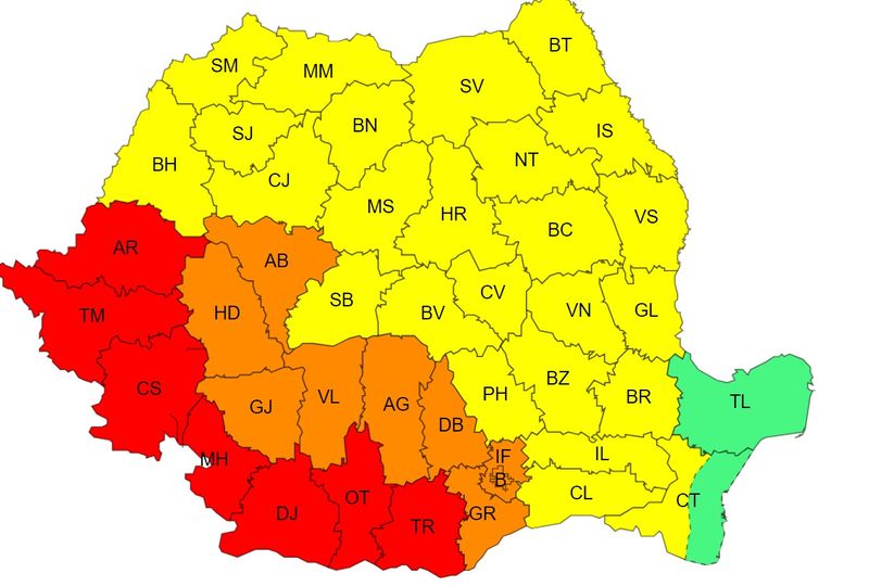 cod galben vijelii, cod rosu canicula 