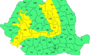 cod galben vijelii, cod rosu canicula 