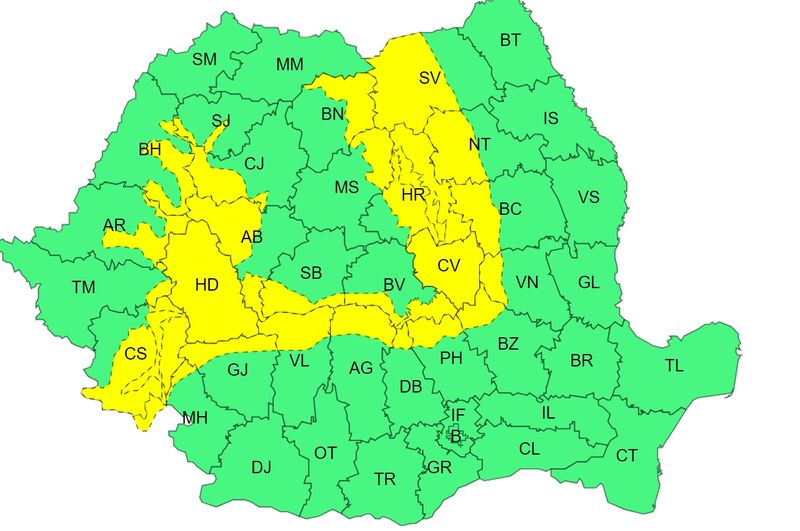 cod galben vijelii, cod rosu canicula 