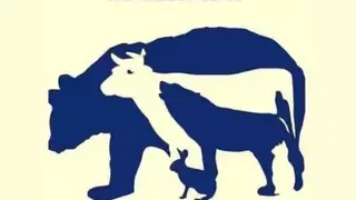 Câte animale vezi în imagine? Testul care îți pune creierul la încercare