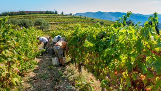 Un spaniol, șocat de salariile din Rom&acirc;nia: "Abia acum &icirc;nțeleg"