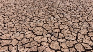 Județul din România care a secat! Oamenii rămân treptat fără apă și se chinuie să supraviețuiască: "Te duci repede, mori"