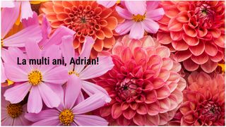 La mulți ani, Adrian! - felicitare