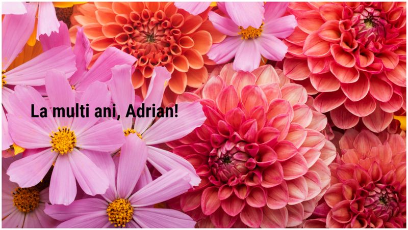 La mulți ani, Adrian! - felicitare