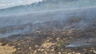 incendiu satu mare, militari, pompieri, incendiu padure 