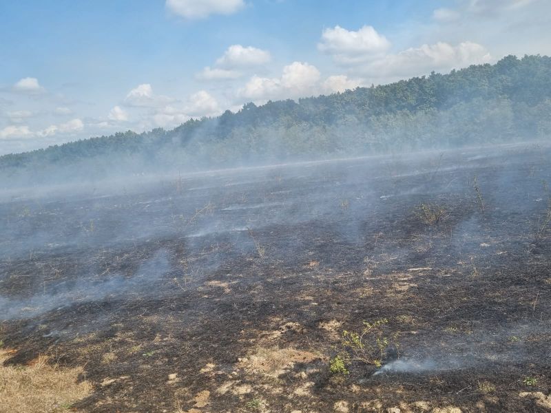incendiu satu mare, militari, pompieri, incendiu padure 