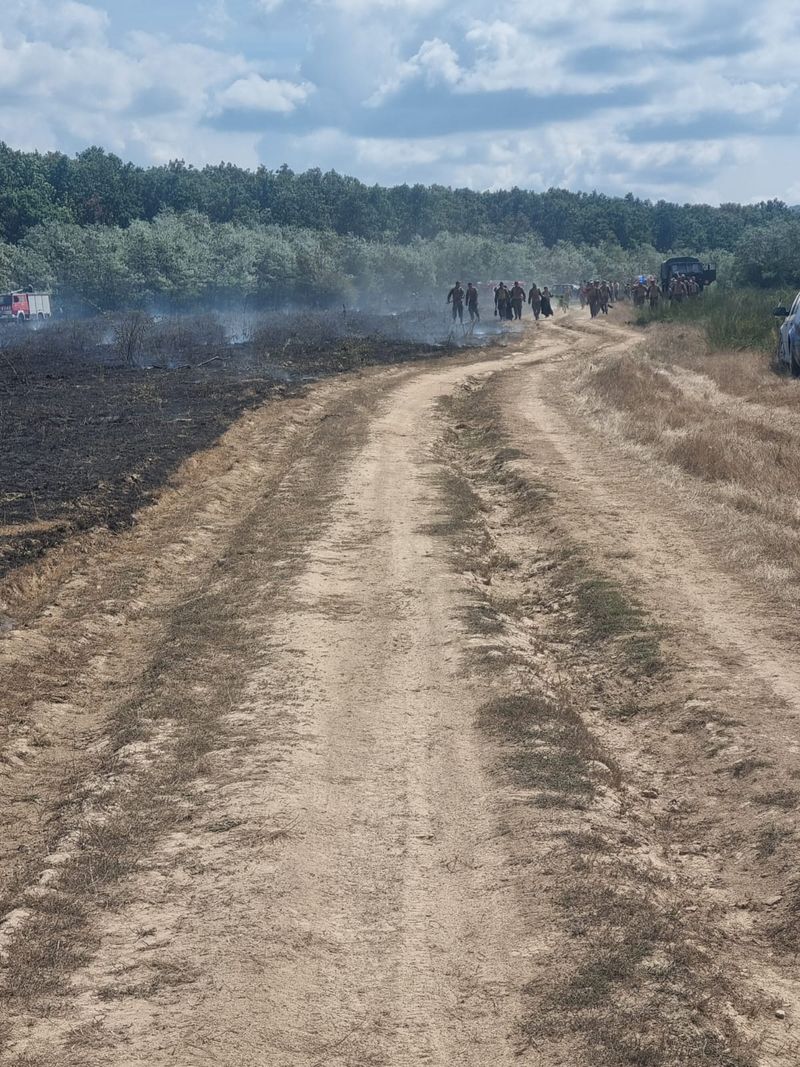 incendiu satu mare, militari, pompieri, incendiu padure 