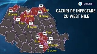 VIDEO Tot mai multe cazuri de infecție cu West Nile în România. Una dintre persoanele infectate a murit