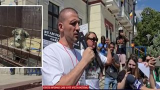 VIDEO Sute de oameni scoși &icirc;n stradă de "abatorul" din T&acirc;rgu-Jiu. Protestatarii cer milă pentru c&acirc;inii din adăpostul morții