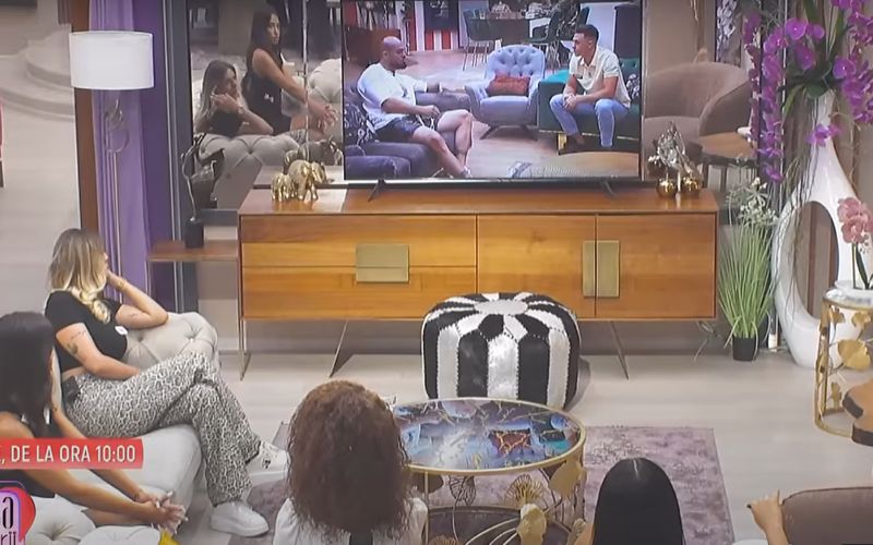 robert robi casa iubirii cearta