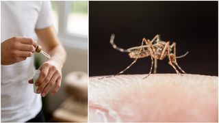 Oțetul alungă ț&acirc;nțarii?