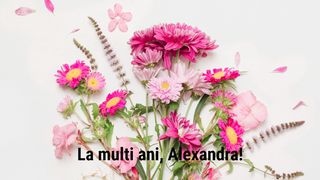 Felicitări cu La mulți ani, Alexandru! 