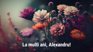 Felicitări cu La mulți ani, Alexandra! 