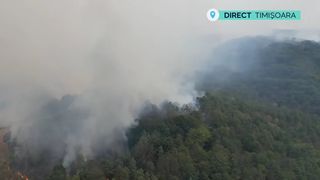VIDEO Incendiile de pădure se extind! Focul a mistuit sute de hectare din Caraș-Severin