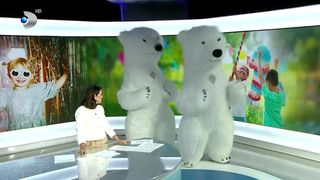 VIDEO Urșii dansatori, în platoul Știrilor Kanal D! Care este povestea lor?