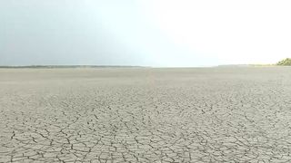 VIDEO Lacuri uriașe uscate de secetă! În sudul și estul României e PRĂPĂD