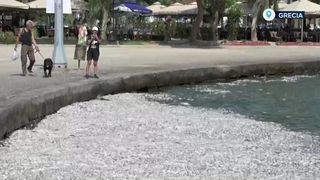 VIDEO Tone de pești morți, în Grecia! Ploile torențiale fac ravagii în Europa